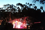 Meredith Music Festival Images